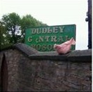 Dudley central mosque pigs head